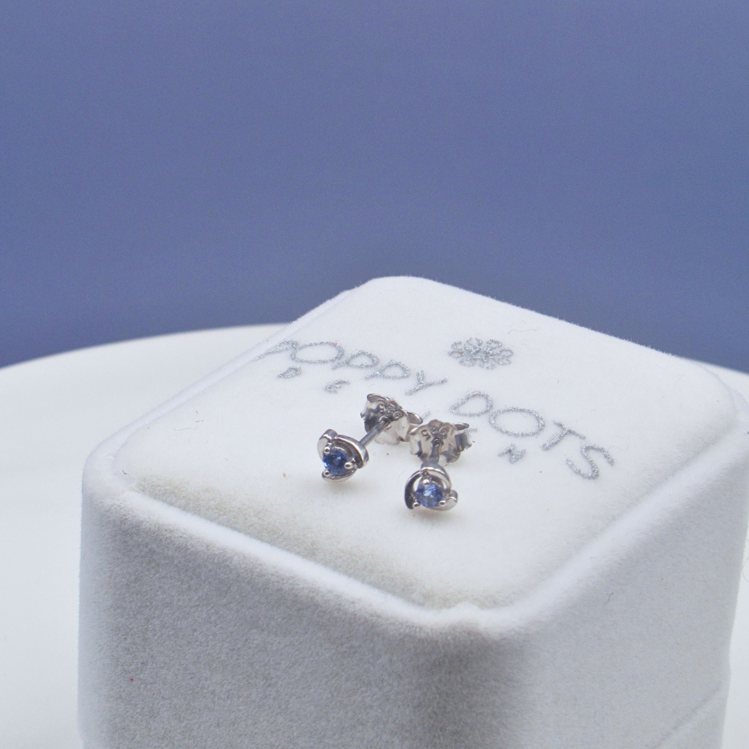 Sterling Silver Bordered Round Tanzanite Studs