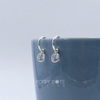 Sterling Silver Pretty Woman Round Zirconia Earrings