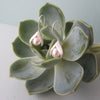 Sterling Silver and Pearl Tulip Earrings